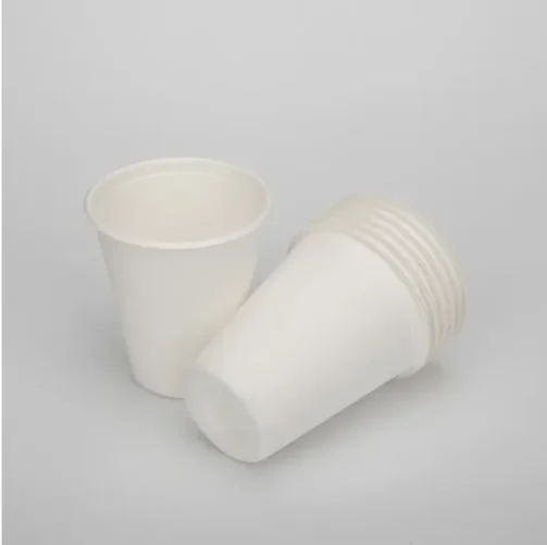 Sustainable beverage packaging for a greener future