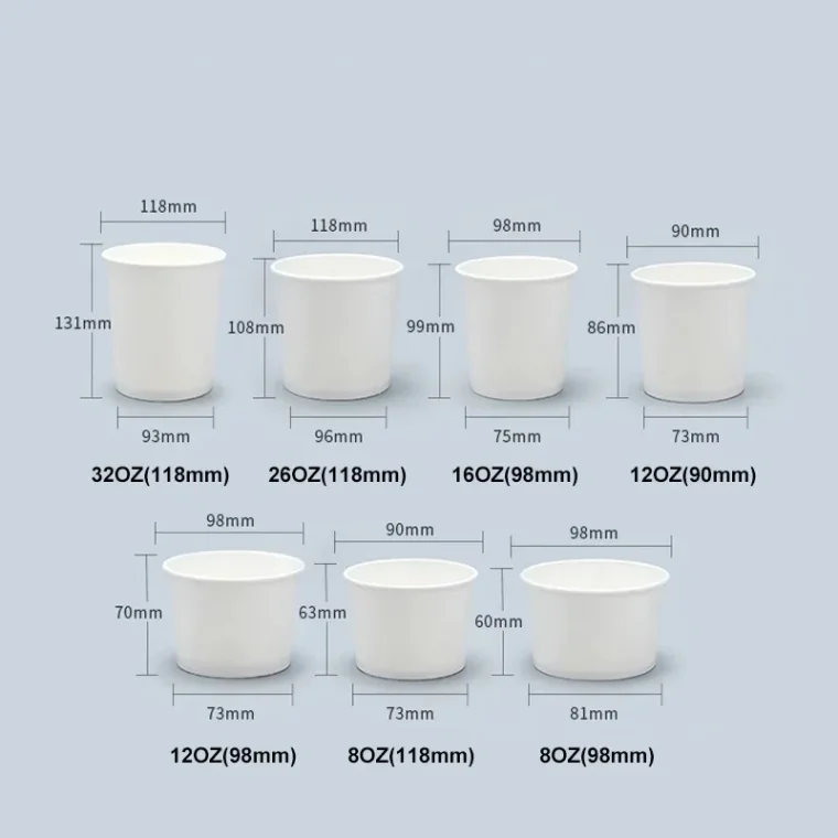 Biodegradable food packaging product view