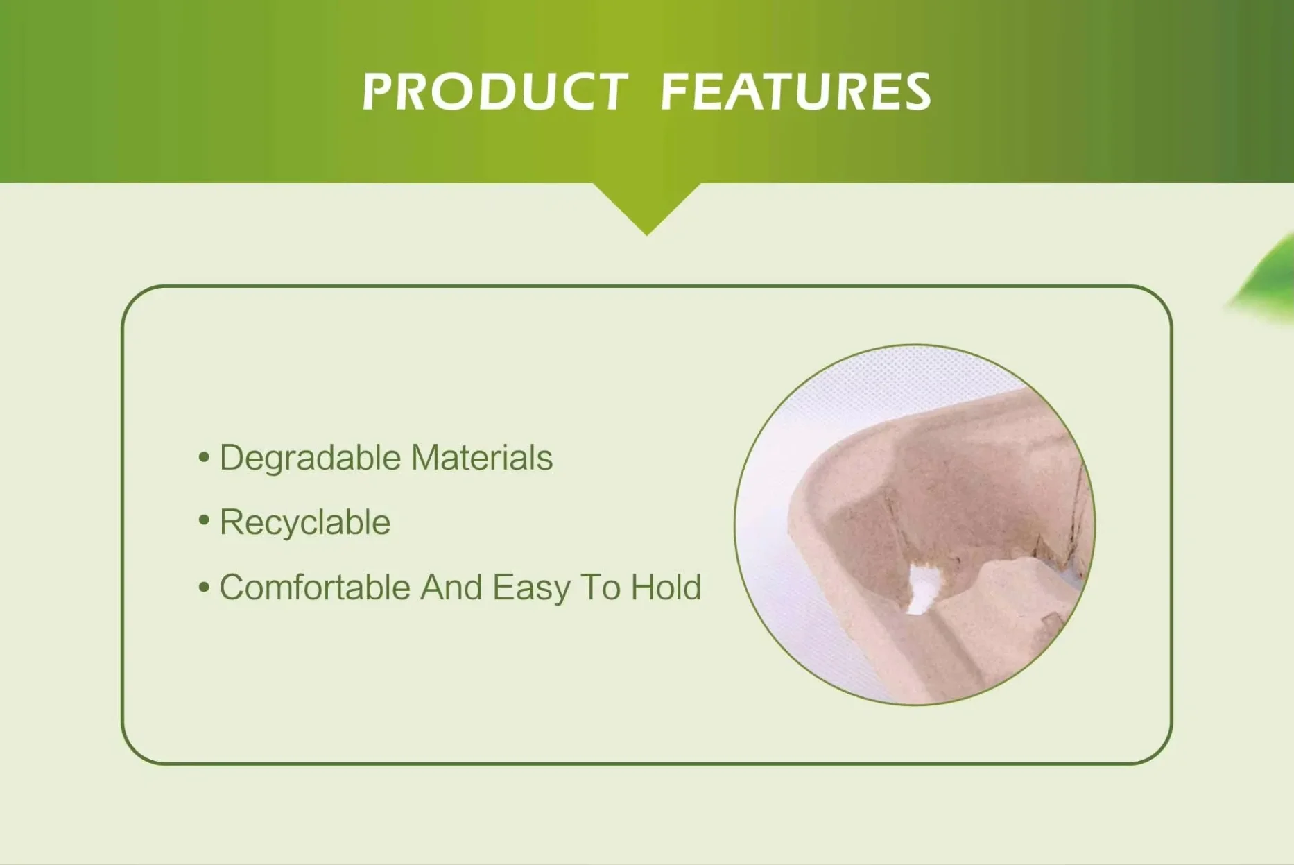 Biodegradable food packaging materials for green living