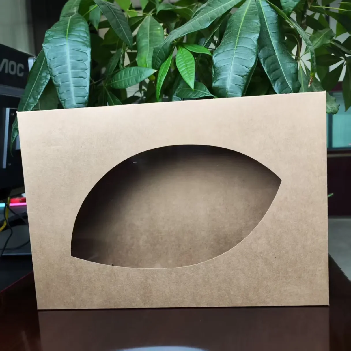 Eco-friendly lunch boxes for sustainable meals on-the-go
