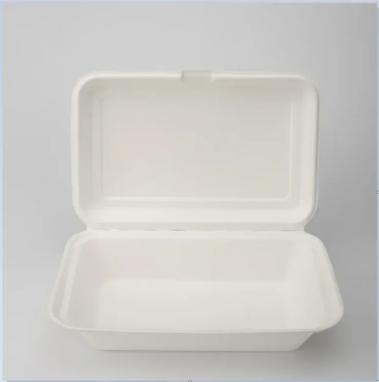 Biodegradable snack packaging for eco-friendly snacks