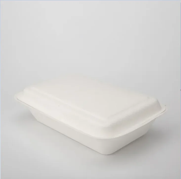 Sustainable takeout containers for eco-friendly meals
