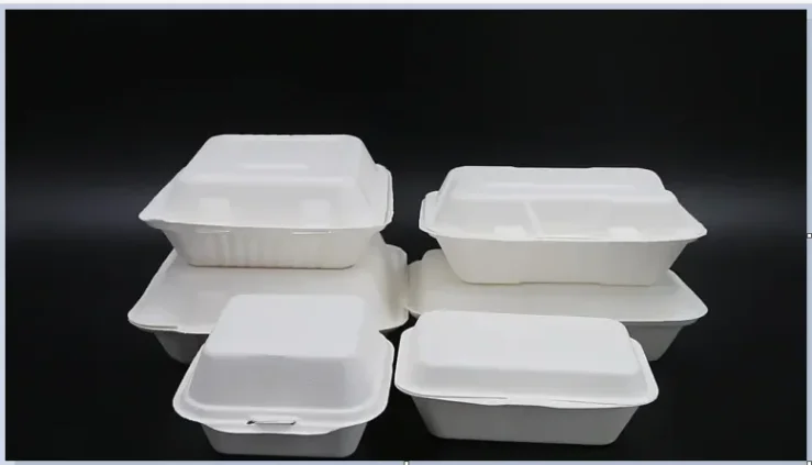 Compostable food packaging solutions for eco-friendly dining